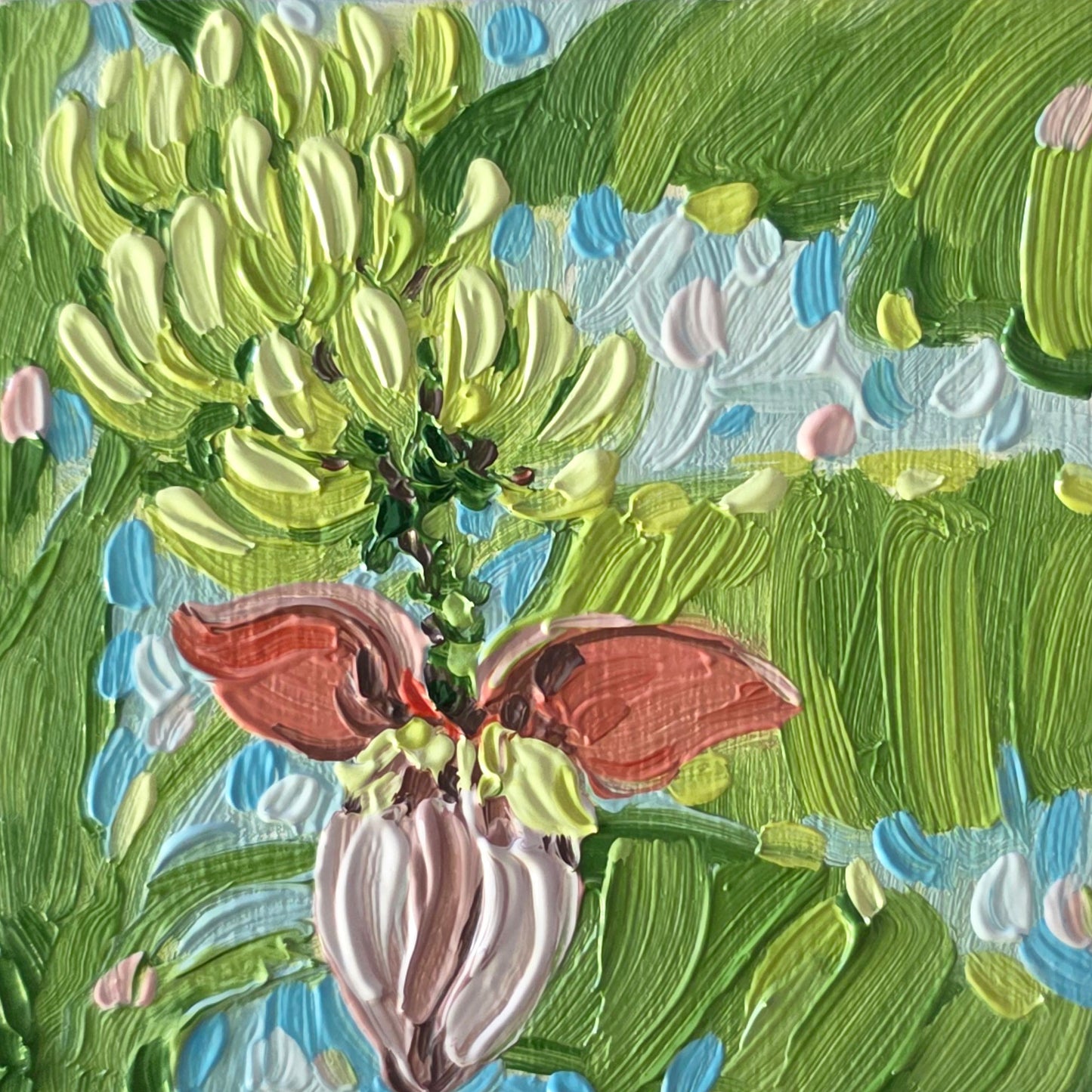 Blooming bananas IV