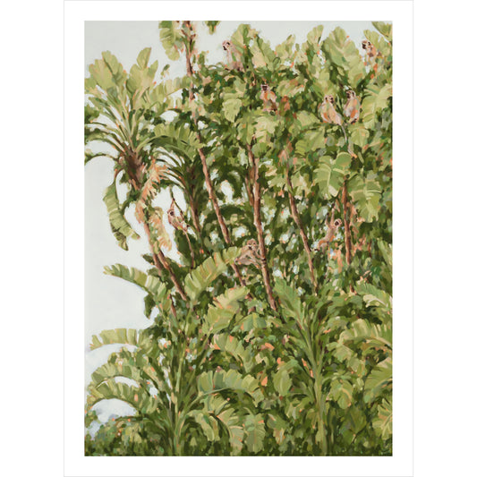 Fronds in high places